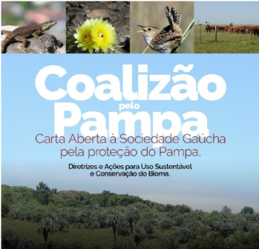 Carta Aberta à Sociedade Gaúcha pela proteção do Pampa